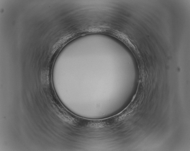 X0000071770299200607211538