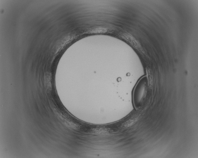 X0000071770300200607211538