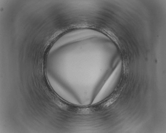 X0000071770301200607211538