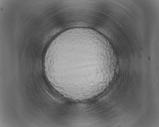 X0000071770302200607211538