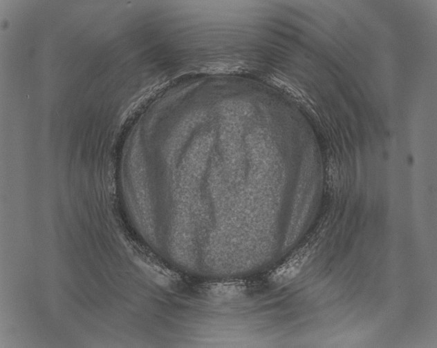 X0000071770303200607211538