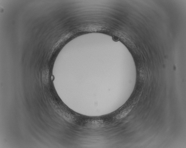 X0000071770304200607211538