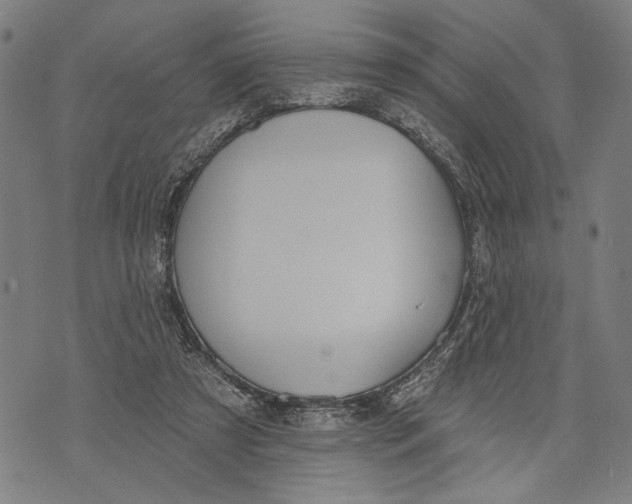 X0000071770305200607211538