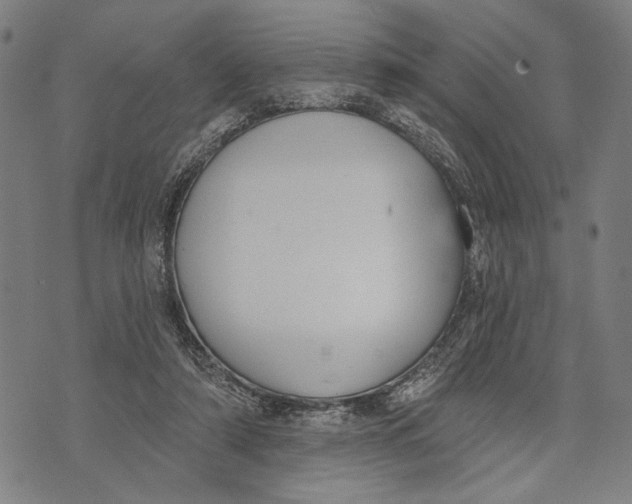 X0000071770306200607211538