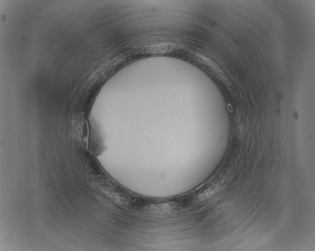 X0000071770307200607211538