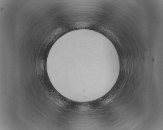 X0000071770308200607211538