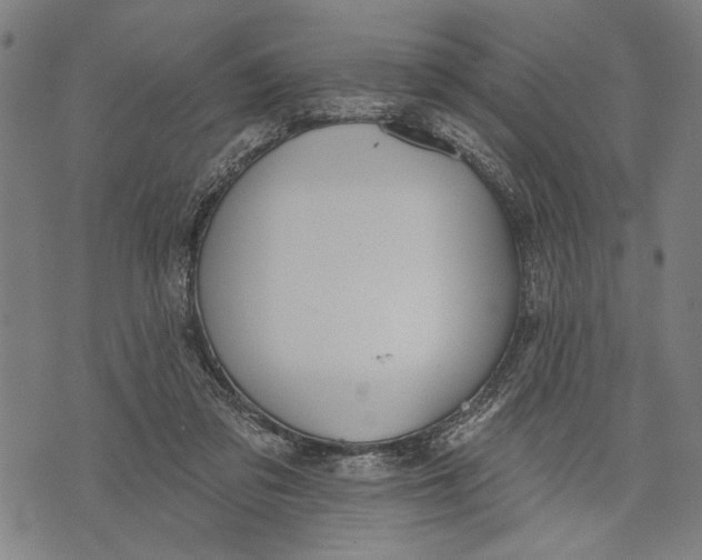 X0000071770309200607211538