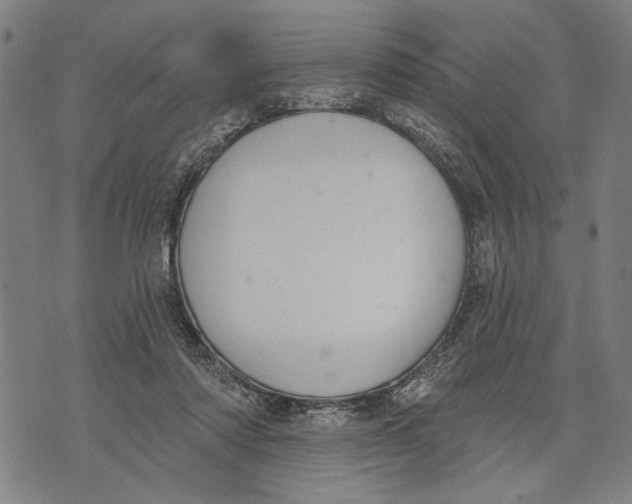 X0000071770310200607211538