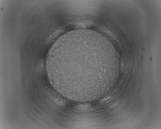 X0000071770314200607211538