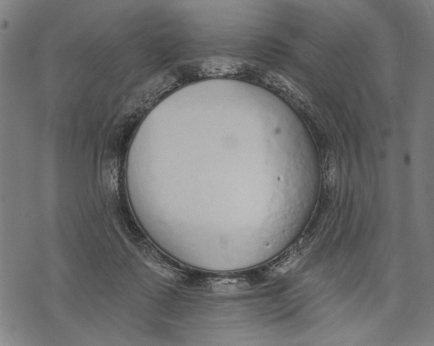 X0000071770315200607211538