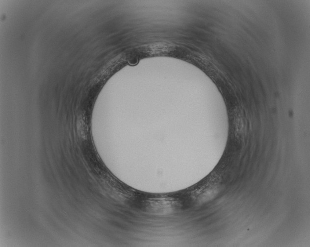 X0000071770316200607211538