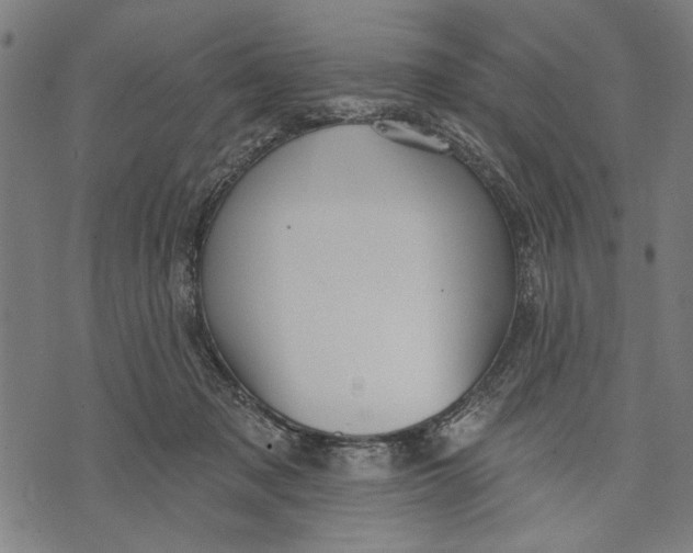 X0000071770317200607211538