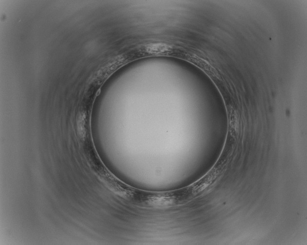 X0000071770319200607211538