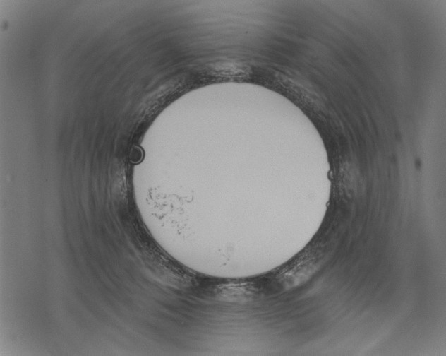 X0000071770320200607211538