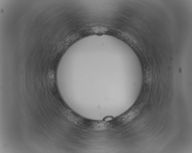 X0000071770321200607211538