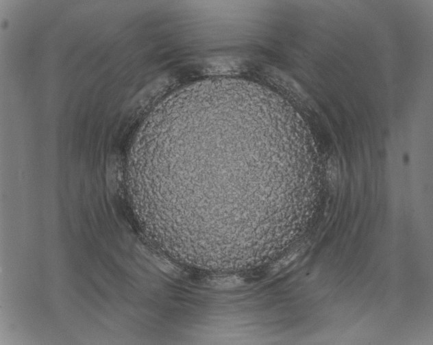 X0000071770322200607211538