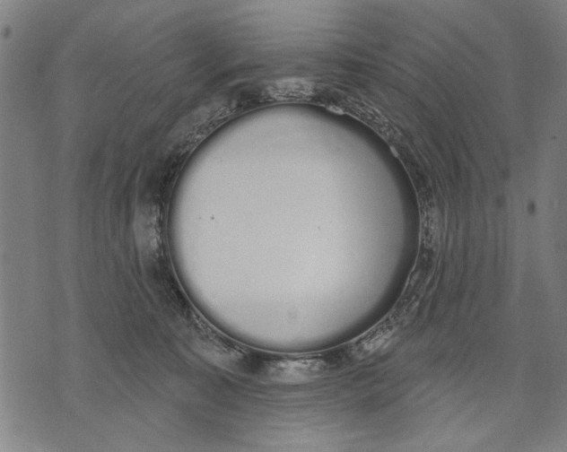 X0000071770323200607211538