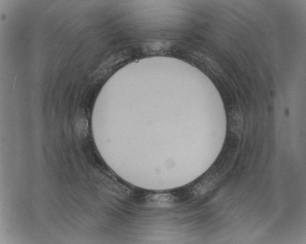 X0000071770324200607211538