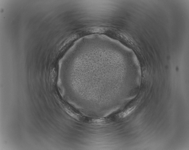 X0000071770325200607211538