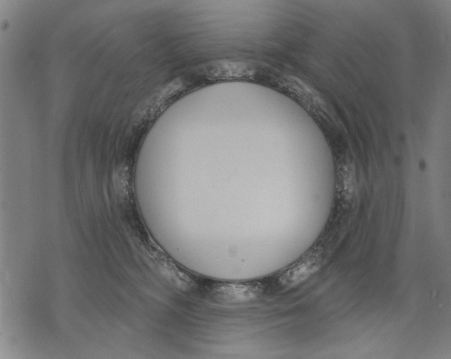 X0000071770326200607211538