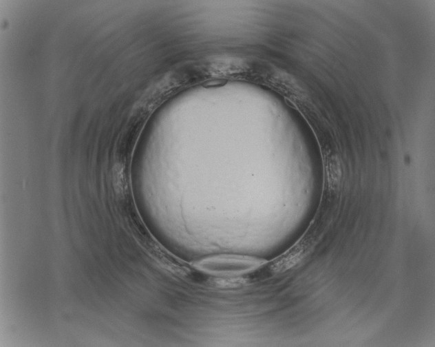 X0000071770327200607211538