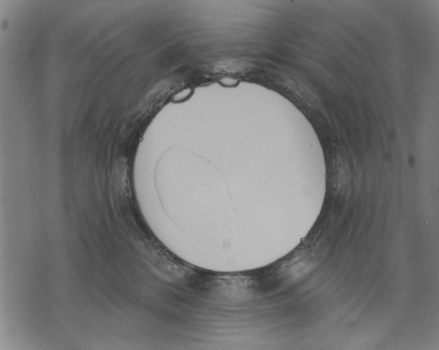 X0000071770328200607211538