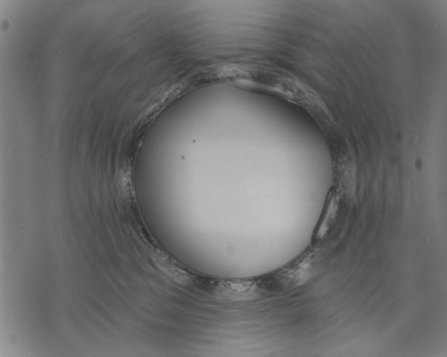 X0000071770329200607211538