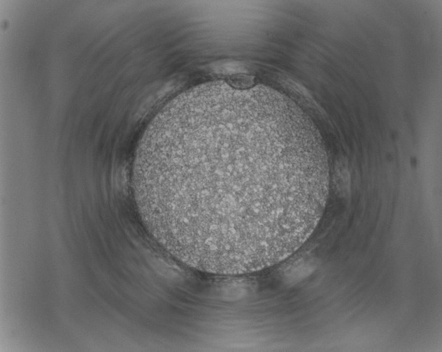 X0000071770330200607211538