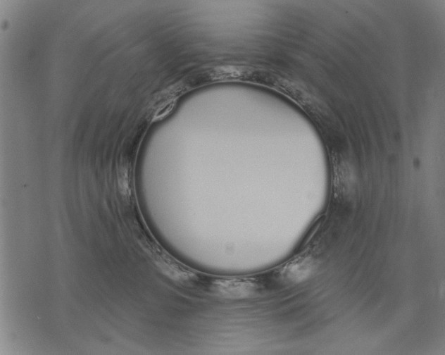 X0000071770331200607211538