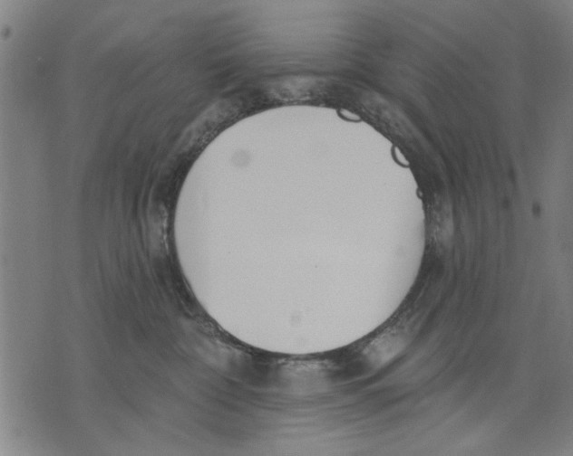 X0000071770332200607211538