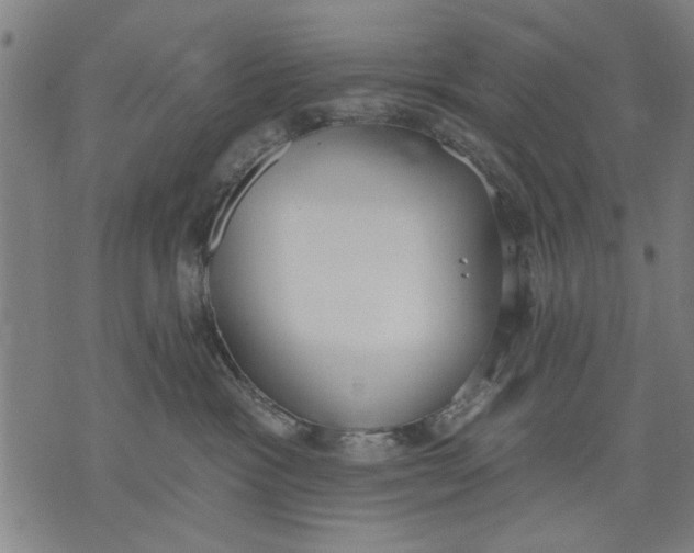 X0000071770333200607211538