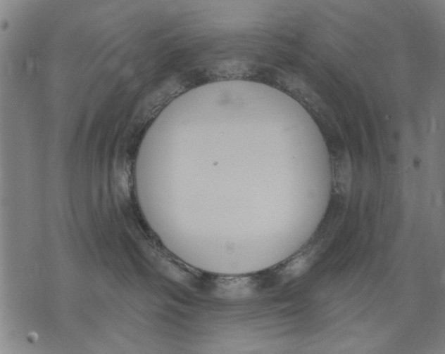 X0000071770334200607211538