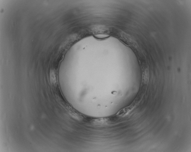 X0000071770335200607211538