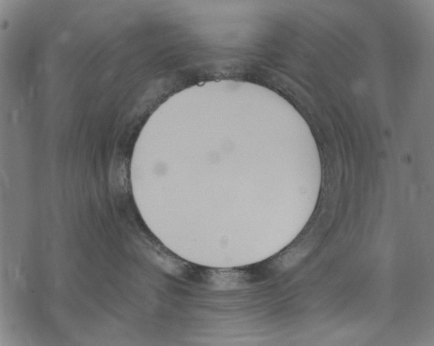 X0000071770336200607211538