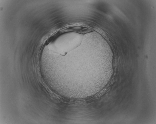 X0000071770337200607211537