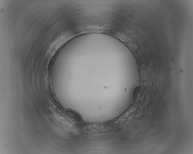 X0000071770338200607211537