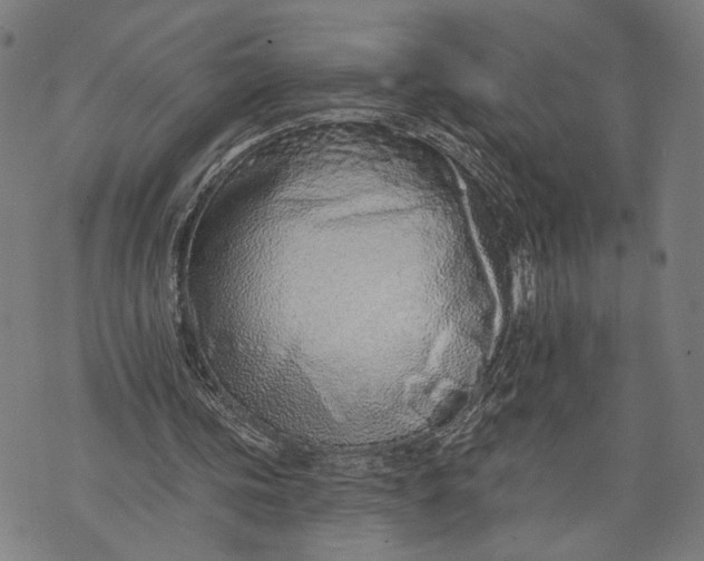 X0000071770339200607211537