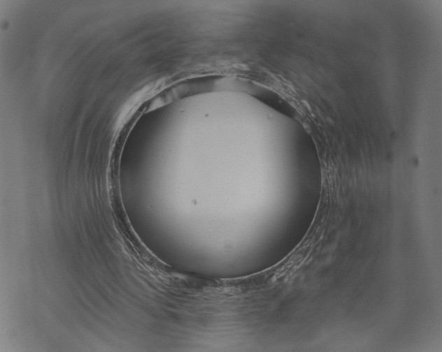 X0000071770340200607211537