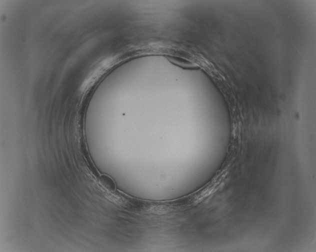 X0000071770341200607211537