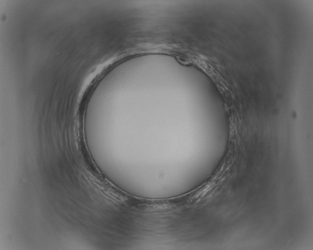 X0000071770342200607211537