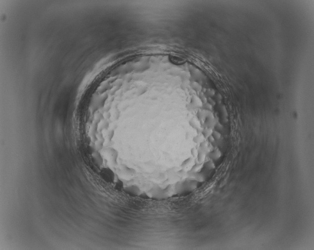 X0000071770343200607211537