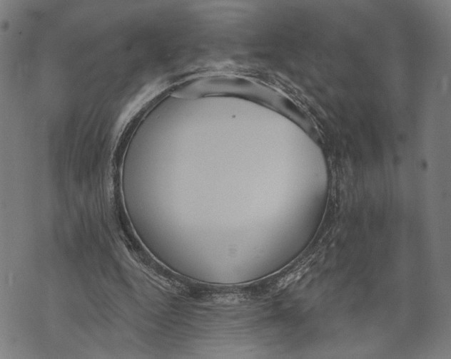 X0000071770344200607211537