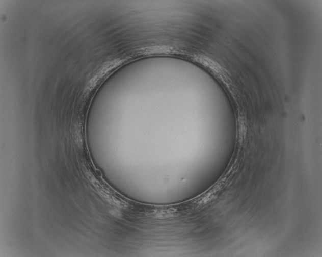 X0000071770345200607211537