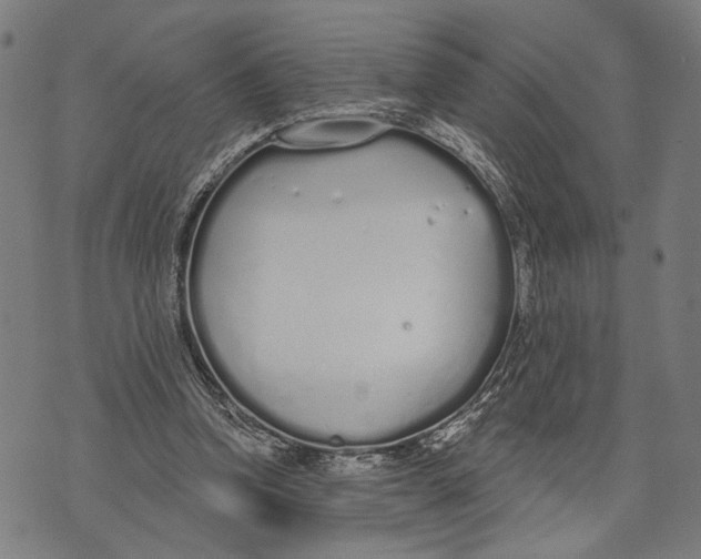 X0000071770346200607211537