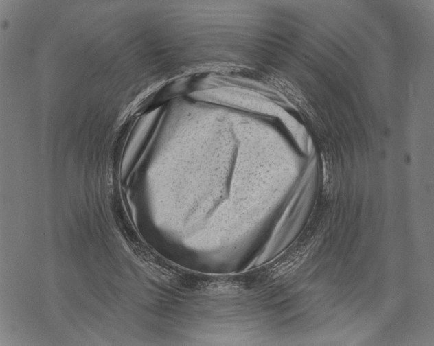 X0000071770348200607211537