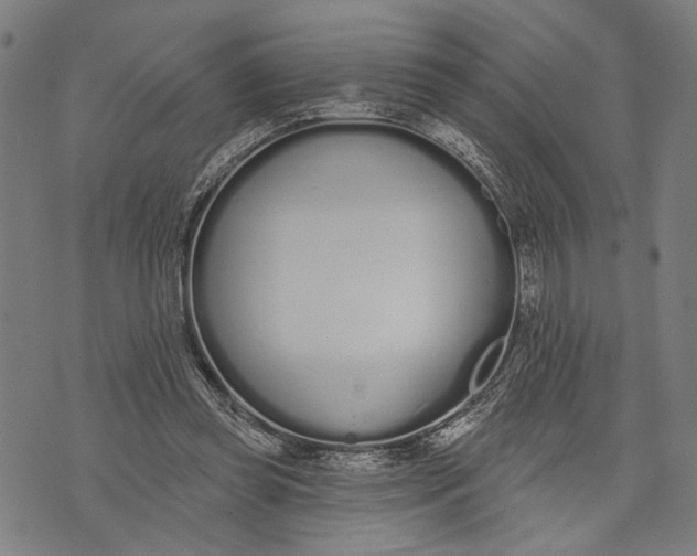 X0000071770349200607211537