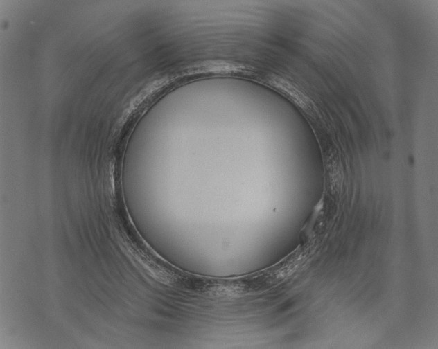 X0000071770350200607211537