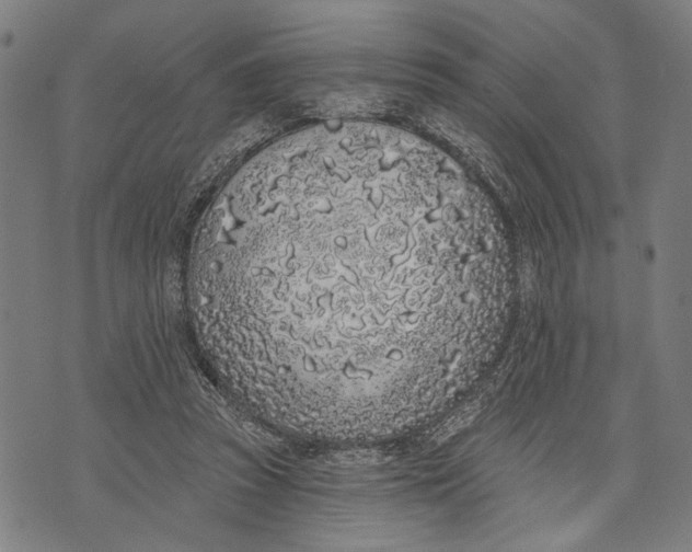 X0000071770353200607211537