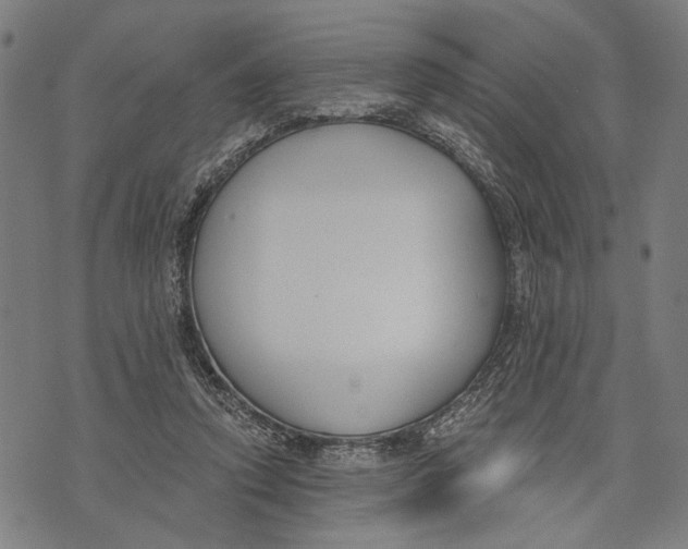 X0000071770354200607211537