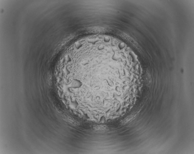 X0000071770355200607211537